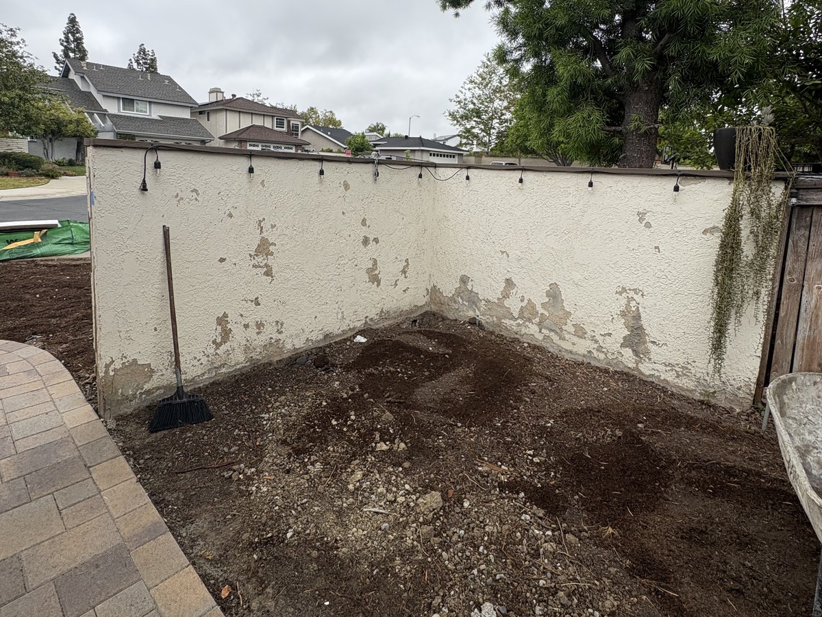 Before: peeling stucco wall and bare dirt yard